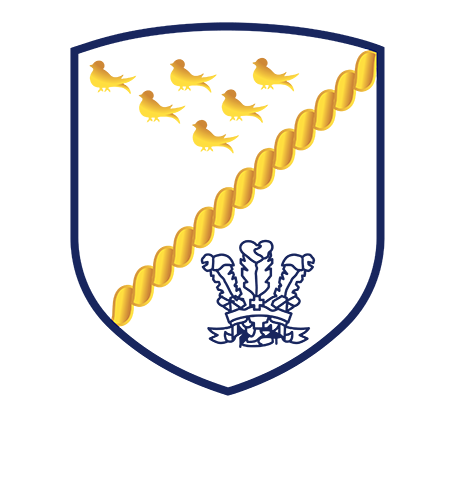 Felbridge & Sunnyside Cricket Club Logo